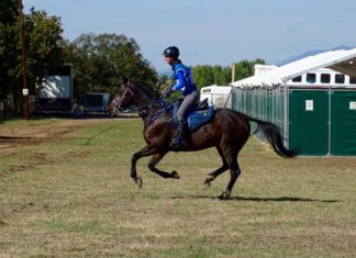 Η Αμαζόνα Ειρήνη Μητώνα