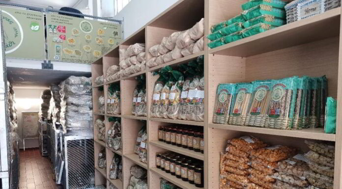 Παξιμάδι: Σύμμαχος της υγείας και του πεπτικού συστήματος