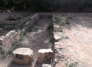 Ο μεγάλος (χαμένος) περίπατος της Ακαδημίας Πλάτωνος