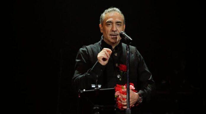 Notis: Ο αετός που «αυτό-λαβώθηκε» στον αέρα