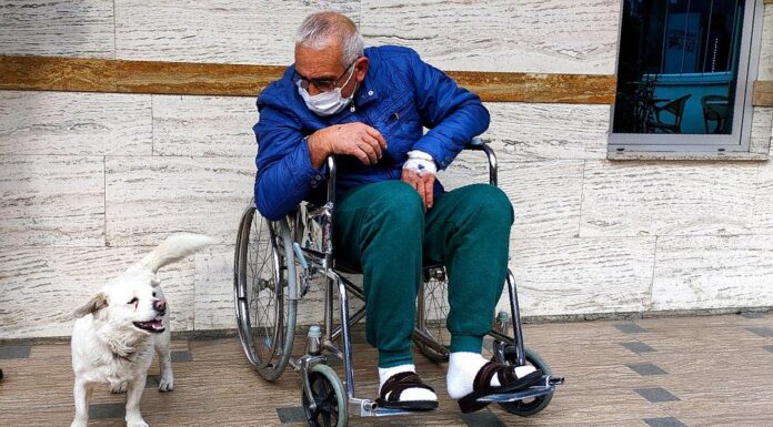 Σκύλος περίμενε τον ιδιοκτήτη του έξω από το νοσοκομείο που νοσηλευόταν