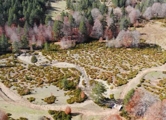 Βάλια Κάλντα: Η κοιλάδα των ονείρων !