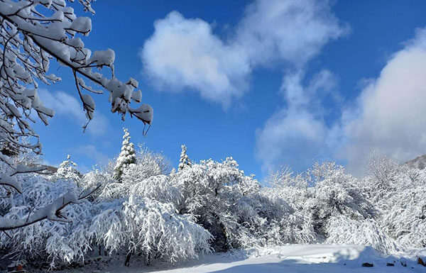 Λευκό σκηνικό στο Νυμφαίο Φλώρινας