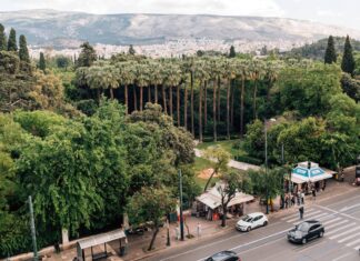 Τα δέντρα δροσίζουν τις ευρωπαϊκές πόλεις