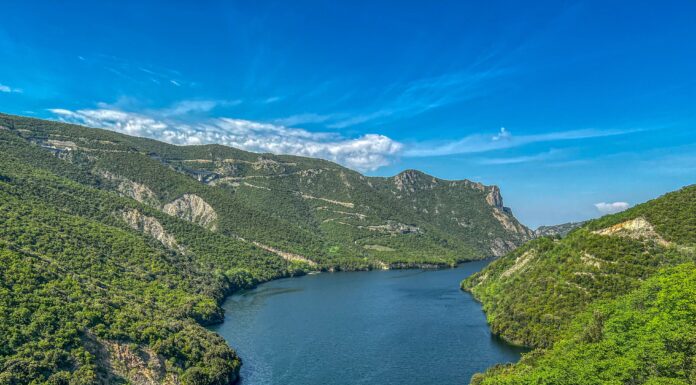 Ελληνικό Κέντρο Παρατήρησης: Η γνώση πρέπει να μοιράζεται