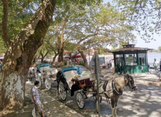 Οι τελευταίοι αμαξάδες των Ιωαννίνων