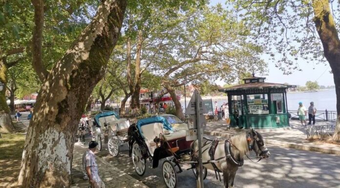 Οι τελευταίοι αμαξάδες των Ιωαννίνων