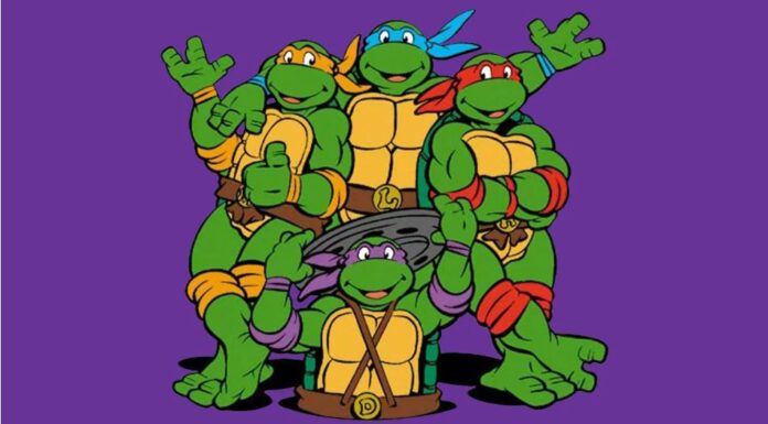 Έβλεπες Χελωνονιντζάκια; Απόδειξε το!