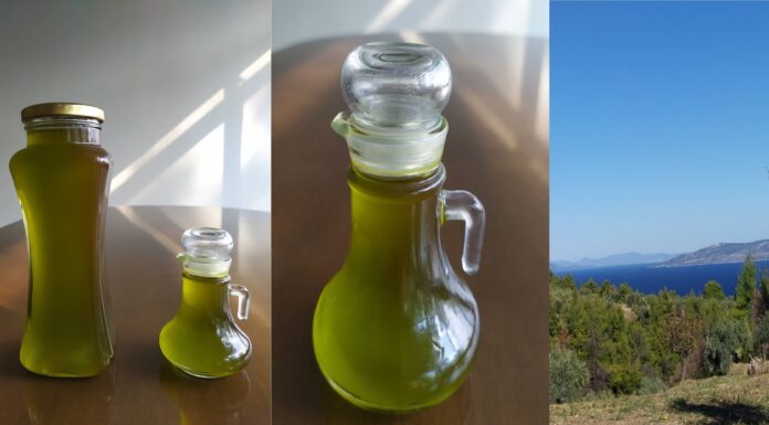 Β.Εύβοια: Η αναγέννηση μέσα από τις στάχτες της και το βραβευμένο λάδι της