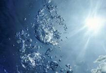 «Επιπλέοντας» στην ποίηση του Δημήτρη Πέτσα