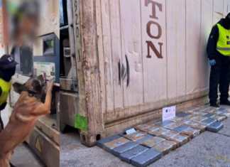 Γνωρίζοντας τον ICE τον σκύλο ανιχνευτή ναρκωτικών