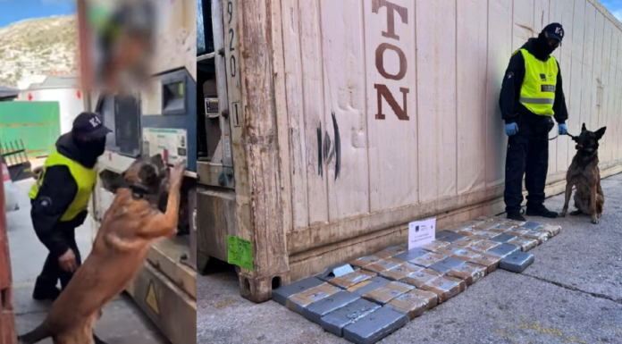 Γνωρίζοντας τον ICE τον σκύλο ανιχνευτή ναρκωτικών