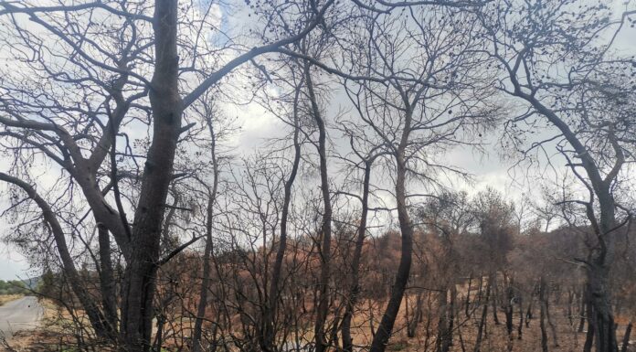 Ο κίνδυνος λειψυδρίας και το θερμό καλοκαίρι που έρχεται