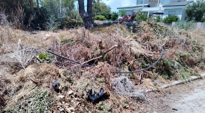 O βραχνάς των ακαθάριστων οικοπέδων εν μέσω αντιπυρικής περιόδου