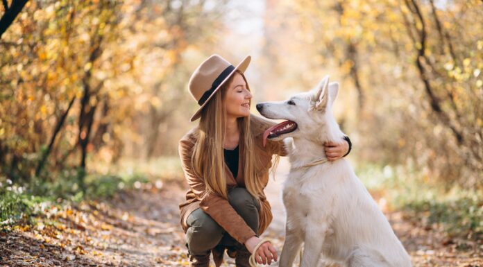 Υποχρεωτική η ασφάλιση για τους σκύλους;