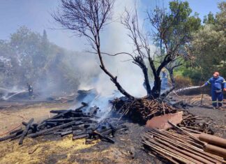Φωτιά δίπλα στο Σισμανόγλειο