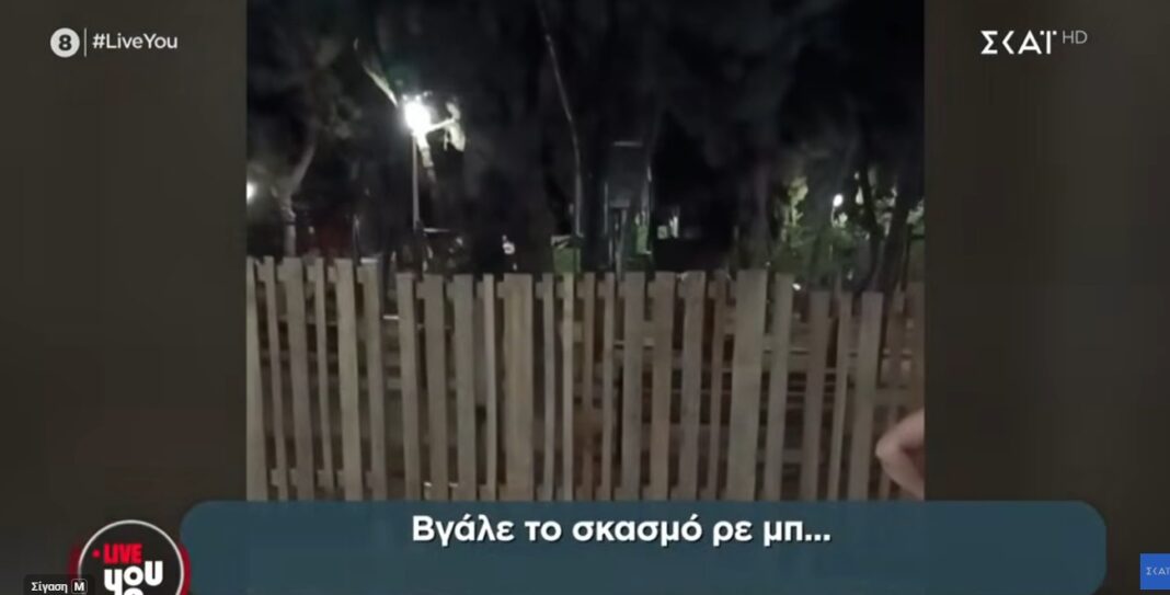 paidiki_x